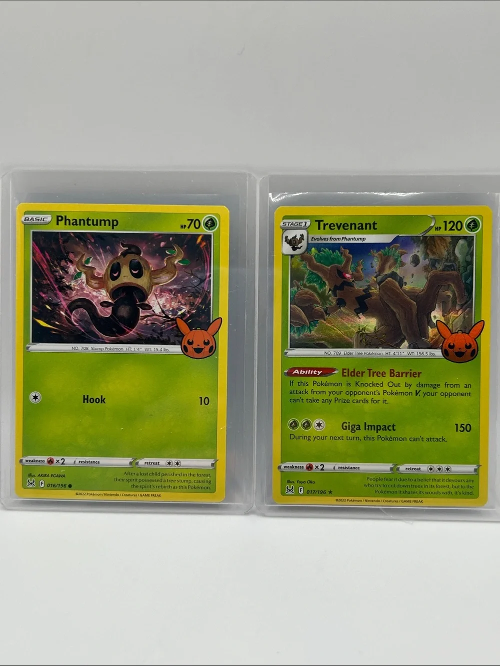 Phantump > Trevenant Pokémon 🎃 Trick or Trade